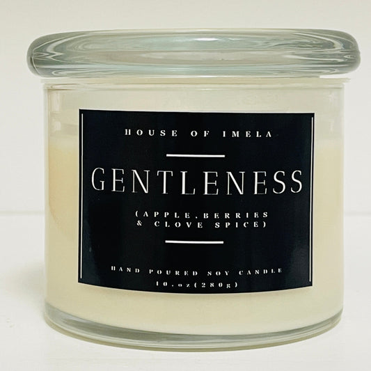 The 'Gentleness' Soy Candle - Apple, Berries & Clove Spice